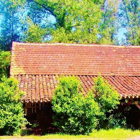 De 5 Chambres A Cernin De L'herm Avec Piscine Privee Jardin Amenage Et Wifi * Saint-Cernin-de-lʼHerm
